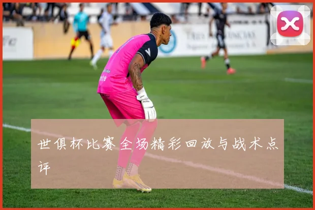 世俱杯比赛全场精彩回放与战术点评