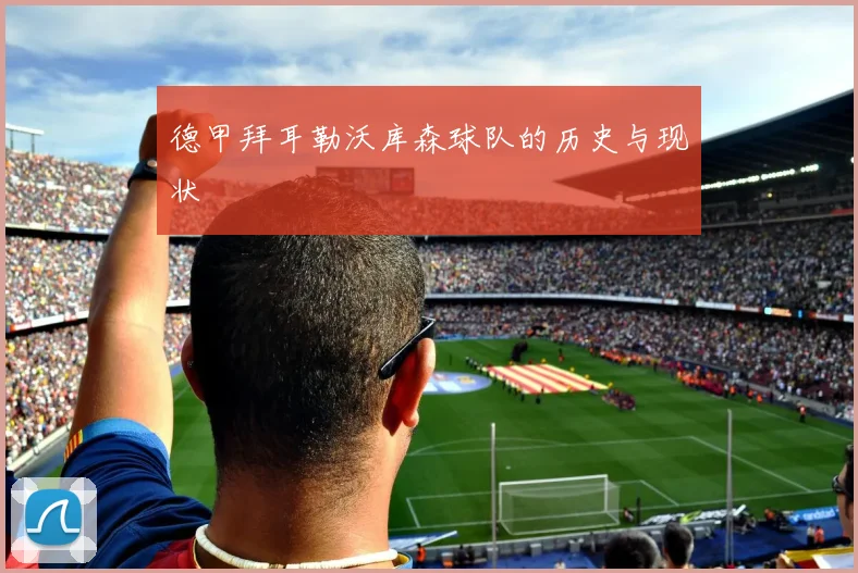 德甲拜耳勒沃库森球队的历史与现状