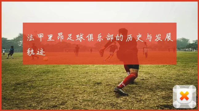 法甲里昂足球俱乐部的历史与发展轨迹
