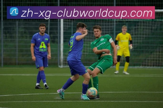 世界杯官网平台生态图